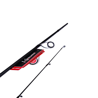 Удилище спиннинговое Kasumi Denso 249 14-56g